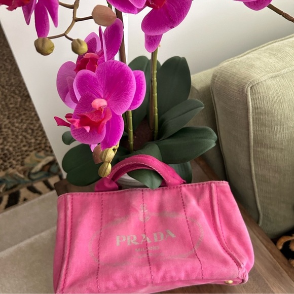 PRADA CANAPA  PEONIA CANVAS Mini Tote!  Pre-Loved - Picture 3 of 10